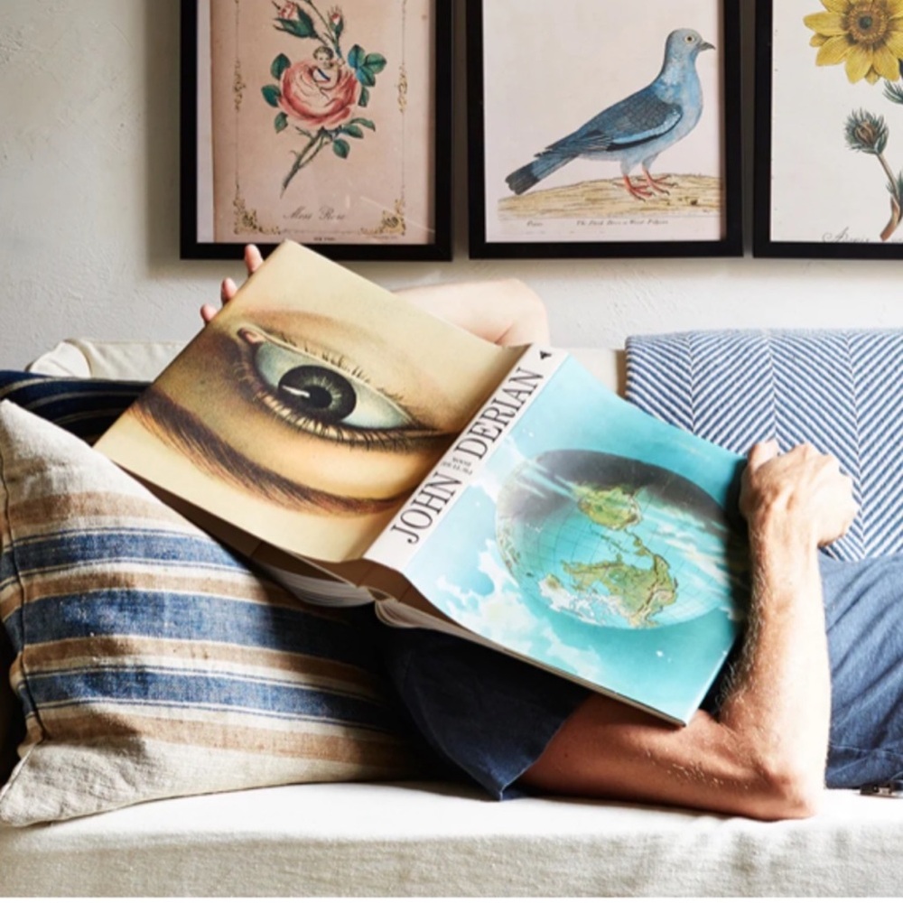 🆕 XL John Derian Coffee Table Picture Book Floral Animals Natural Art Folk Paint